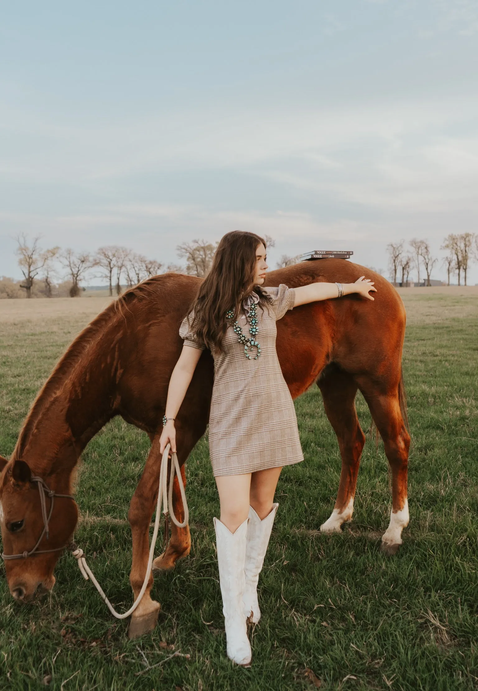 The Roan Dress